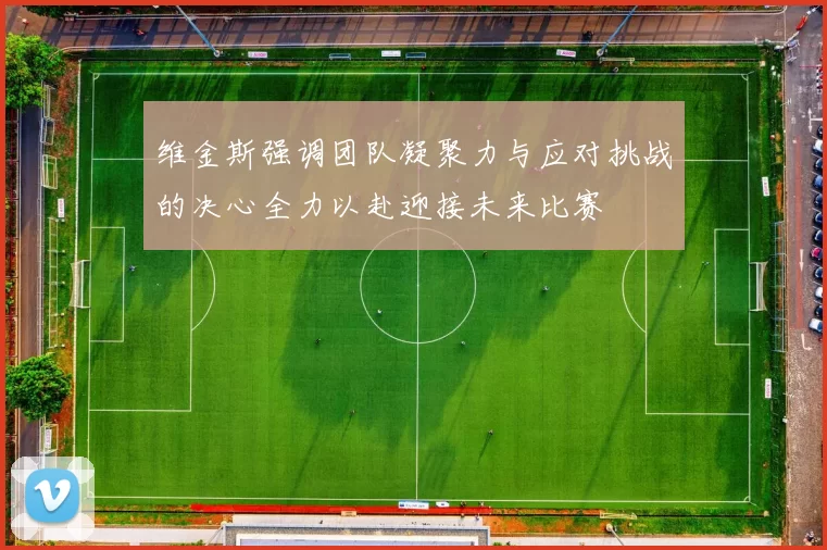 维金斯强调团队凝聚力与应对挑战的决心全力以赴迎接未来比赛